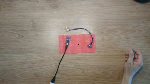 Замок на ключах от ДОМОФОНА ibutton, dallas на Ардуино. СКУД своими руками недорого!