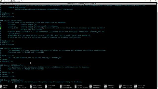 07- Zabbix Expert Bootcamp - Instalações necessárias - Zabbix proxy 6.0 - Inserindo no H.A! смотреть онлайн