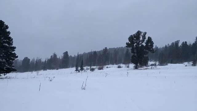 На пути к базе на Караколах смотреть онлайн