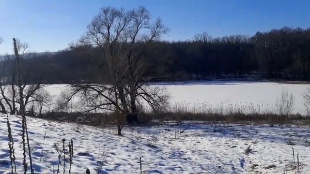 ХОТЬ КОРМИ, ХОТЬ НЕ КОРМИ.../ ДЕРЕВЕНСКИЙ ЭХОЛОТ. ЗИМНЯЯ РЫБАЛКА. часть 2 смотреть онлайн