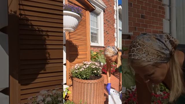 Угадайте, что я пересадила? смотреть онлайн