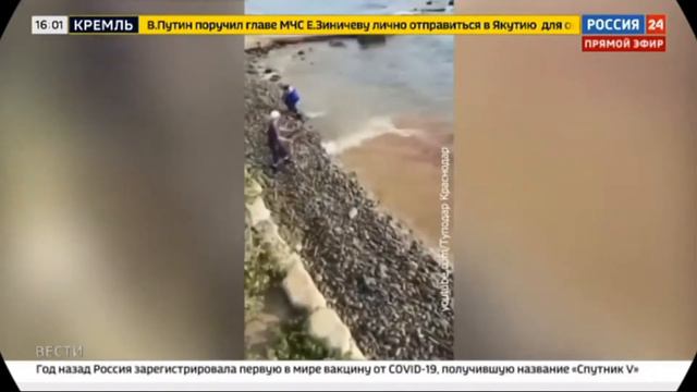 Глава Росприроднадзора Светлана Радионова и почему таких клоунов ставят в министры. смотреть онлайн