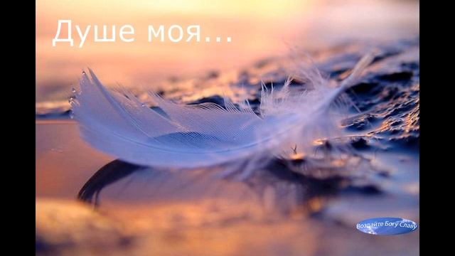 "Душе моя.." хоровое пение автор Пушков Е.Н. #мсцехб #христианская музыка смотреть онлайн