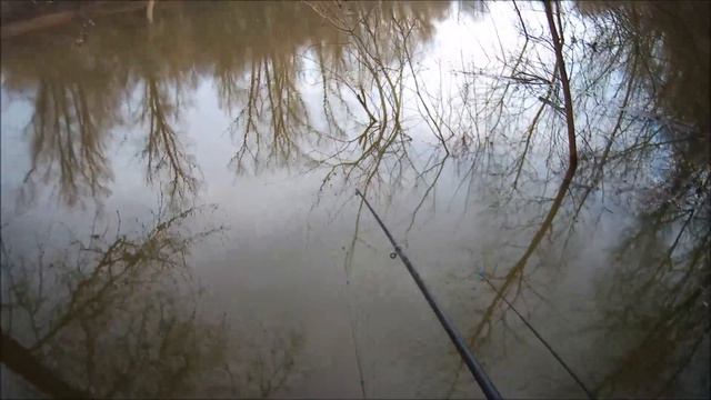 ✔ Рыбалка 🎣 в дождливый💦 апрельский день в дружной🐾 компании🐩 ✔ смотреть онлайн