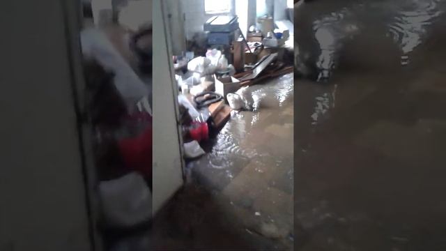 Моём полы кароч смотреть онлайн