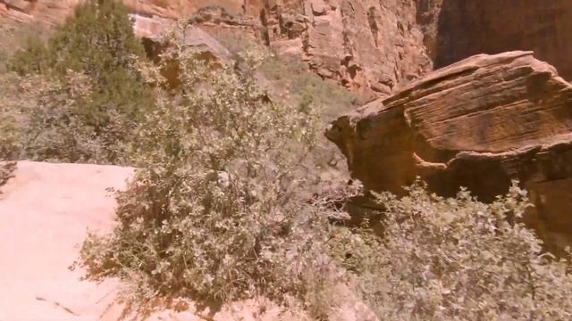 Explore Zion National Park! | Our Top 3 Must See Places! | Sawback Gear смотреть онлайн
