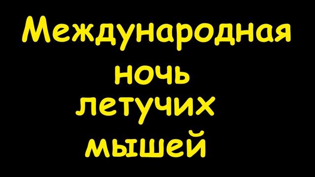 Какой сегодня праздник 20 сентября 2016 смотреть онлайн