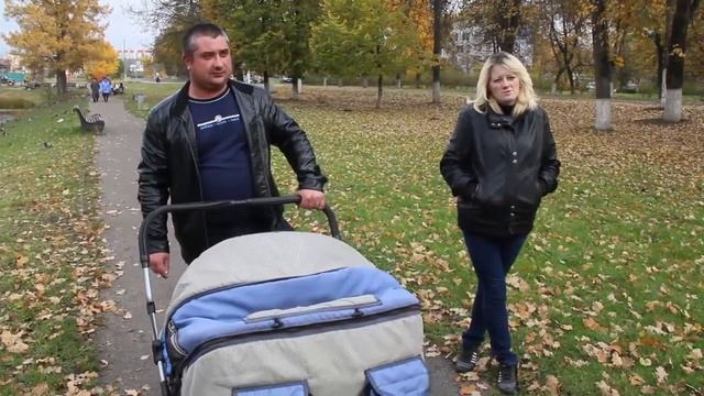 Что делать с лебедем в летнем саду Кингисеппа? смотреть онлайн