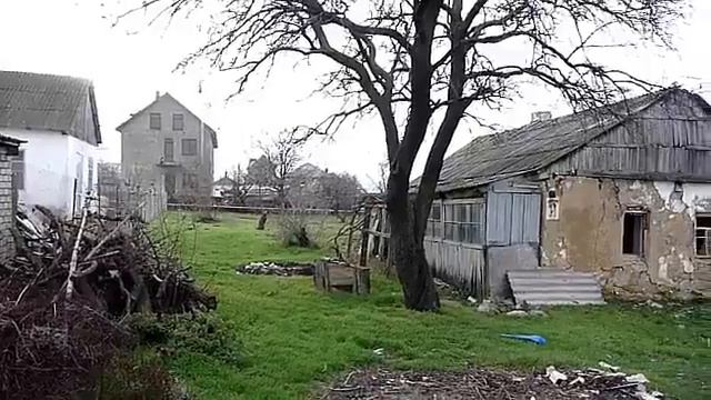 Станица Анапская и кошка / Anapskaya Village And A Red Cat