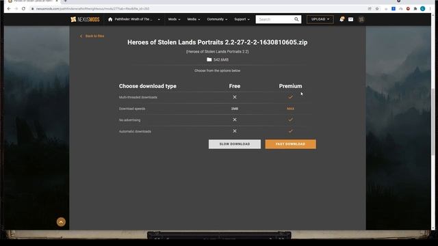Pathfinder Wrath of the Righteous Guide: How to Get Hundreds of Free Portraits - Step by Step смотреть онлайн