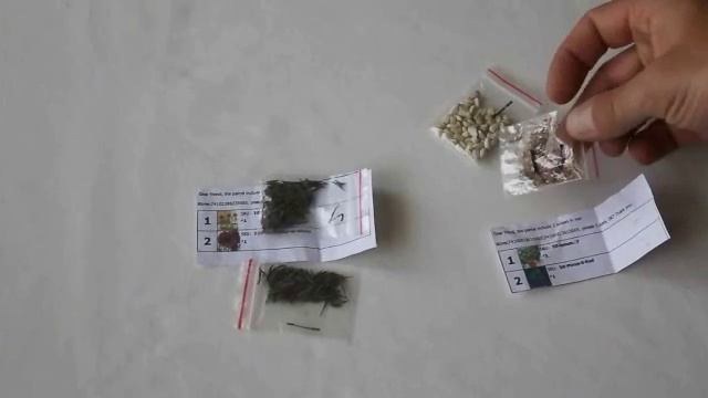 Заказ семян с Китая. Сосна бонсай, карликовые лимоны, декоративные подсолнухи. смотреть онлайн