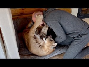 Саша УКУСИЛ Месси! Пума Месси позволяет ему всё!