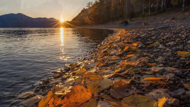 545. ♫ Chris Spheeris - «Carino» смотреть онлайн