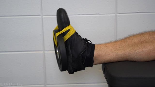 Shin Splints | Medial Tibial Stress Syndrome (Exercises, Rehab, Strengthening) смотреть онлайн