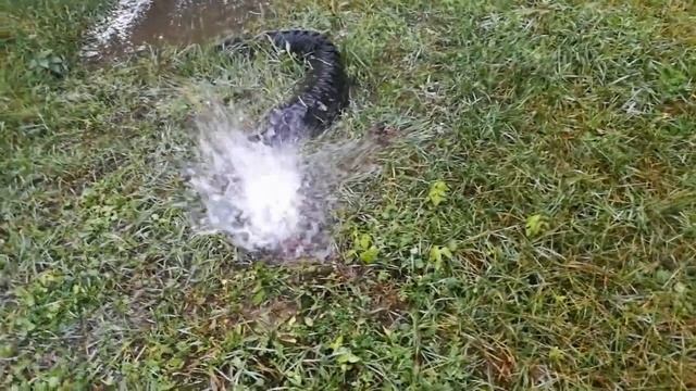 капец прорвало трубу на скважине, вода фонтаном смотреть онлайн