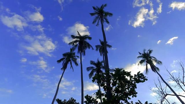 Marriott Golf Course and Resort | Los Sueños, Costa Rica смотреть онлайн