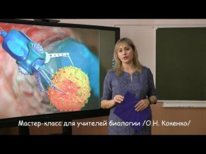 Мастер-класс для учителей биологии /О.Н. Кокенко/