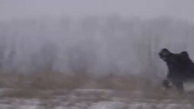 снегокаты и паджеро смотреть онлайн