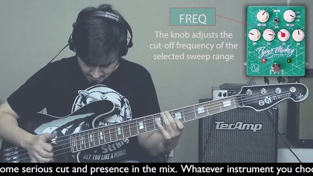 Alen Geere Flying Monkey Envelope Filter Slap Bass смотреть онлайн