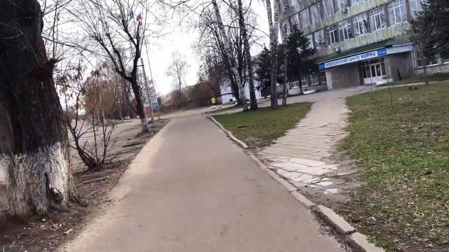 VLOG:ПРОГУЛКА ЙОРКОВ В ЛЕСУ,ЩЕНОК ЙОРКА. Йоркширские терьеры.