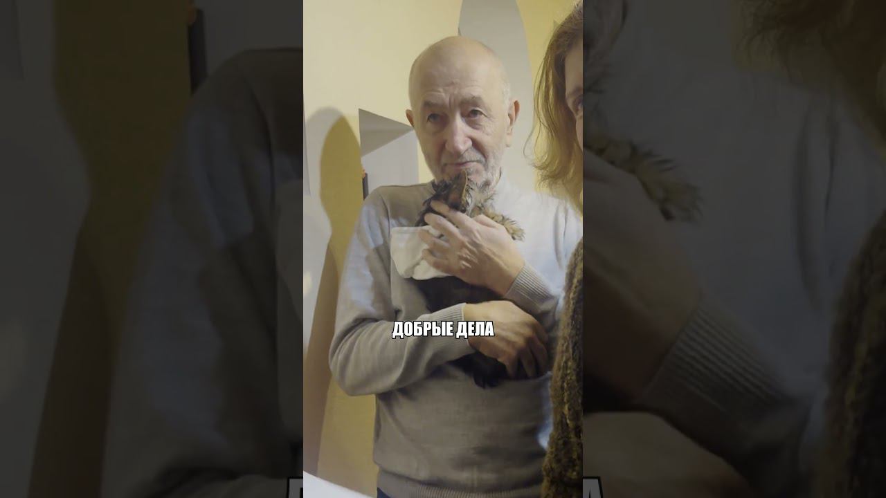 Дарите счастье #ветеринария #добрыедела #щенок #животные #щеночек #помощь #добро смотреть онлайн