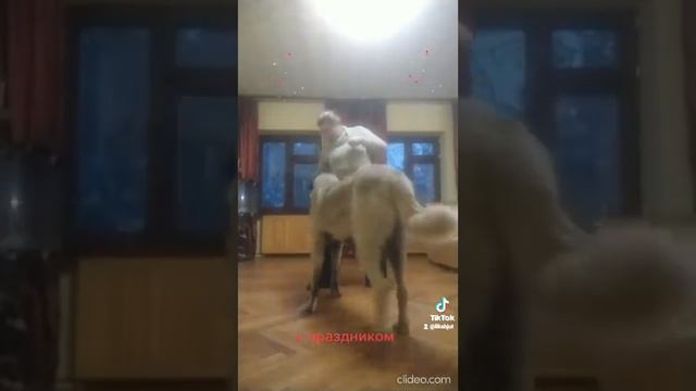 потанцуем?! 1 мая 2022. танец-поздравляшка или как ухайдокать за 5 мин)))) смотреть онлайн