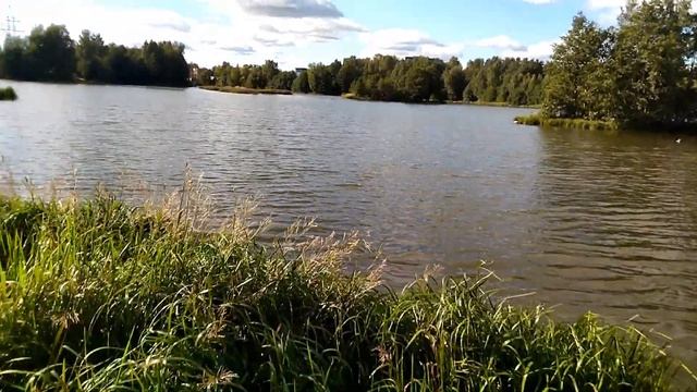 Классные места для отдыха в Приморском районе Питера смотреть онлайн