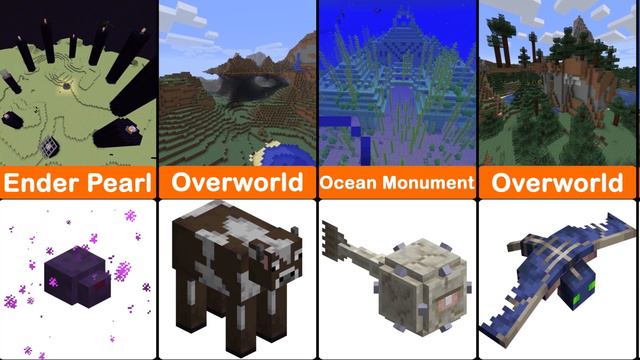 Minecraft All Mobs And Their Spawn Biomes
