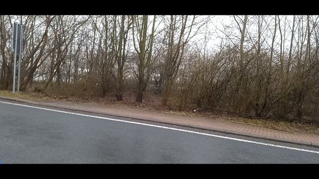 Цены на продукты в Германии, 2023!!уикэнд, жарим шашлык смотреть онлайн