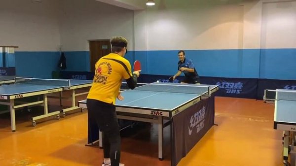 Настольный теннис. Обзор-сравнение ALC  оснований Yinhe  Pro-01 vs Butterfly Viscaria