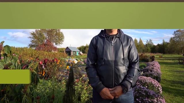 Череповецкие теплицы.Вопрос ответ про грядки. смотреть онлайн