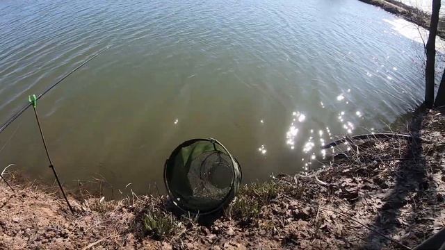 ПОПАЛ НА ВЕСЕННИЙ КЛЁВ карася! Рыбалка на маховую удочку в апреле 2022 смотреть онлайн