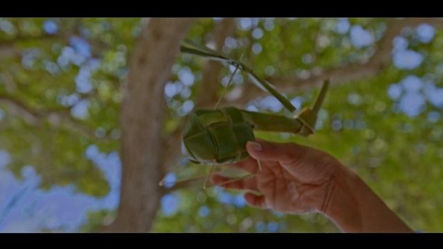 Predo Baby Diaper TVC - Addu dialect version смотреть онлайн