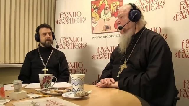 Как радоваться жизни, не бояться и не обижаться? Ответы отца Димитрия Смирнова. 2013.05.25. смотреть онлайн