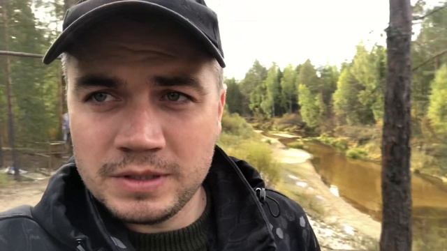 Заунжье. Грибы, клюква, брусника. Поклонный крест. Соленный ключик. Болота. Река Белый Лух. смотреть онлайн