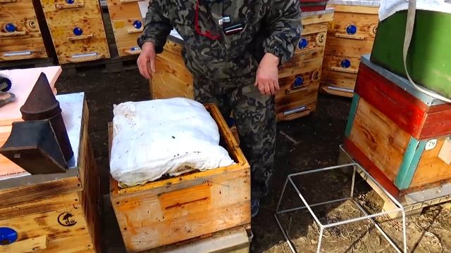 Весна, из омшаника в новые ульи , Апидомик смотреть онлайн