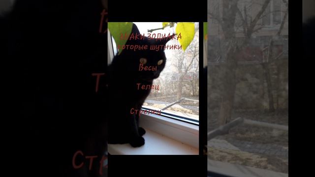 какие знаки зодиаки шутники и число в день рождение смотреть онлайн