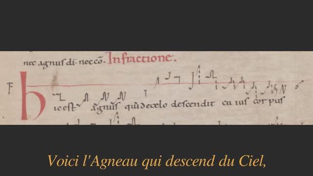 Hic est Agnus qui de cælo descendit