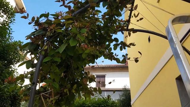 ⭐VLOG I ВСЁ ПОСАЖЕНО! УКРАШАЮ САД СВЕТОМ I ЦВЕТЫ с названиями смотреть онлайн