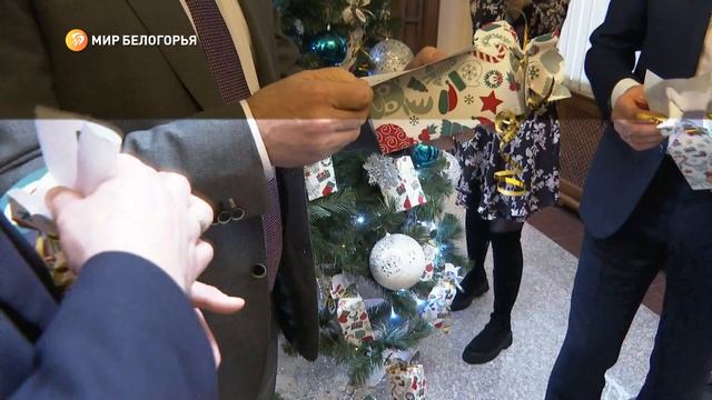 «Ёлка желаний» в здании белгородского правительства смотреть онлайн
