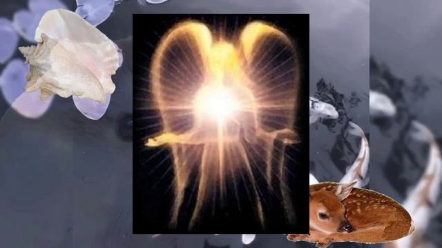 Почему вы должны стать хомяком? ꨄ Правда нашего мира. Астрал смотреть онлайн