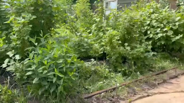 НОВЫЙ ОБЪЕКТ СНТ Лесовод / БЕТОНИРОВАНИЕ ДОРОЖЕК И ОТМОСТКИ смотреть онлайн