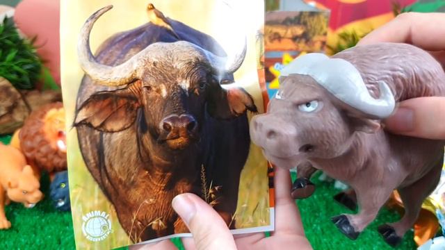 DOMINADORES DE LA SABANA | ANIMALES BLANDITOS | León, Elefante,  Hipopótamo, Rinoceronte