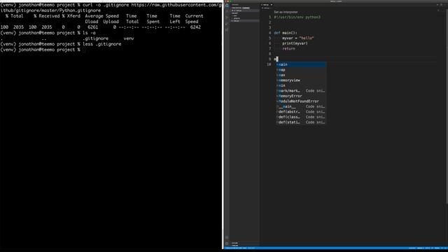 How I setup every Python project I write + my vscode settings смотреть онлайн
