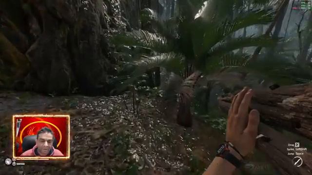 Heat of the Jungle !! (PC) Green Hell смотреть онлайн
