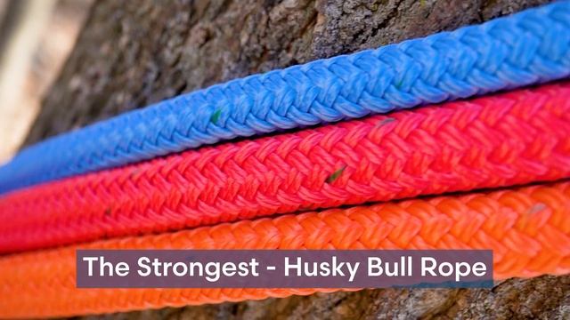 Best Arborist Bull Rope | Rigging Rope for Tree Work смотреть онлайн