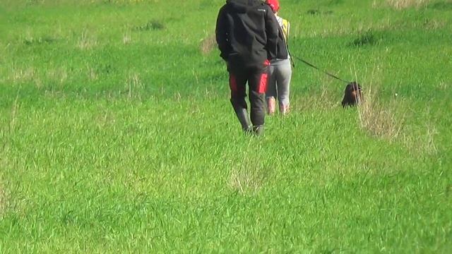 Ден Смайл Пояс Ориона (IGP 2(A))