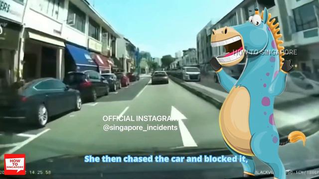How to Deal with Road Rage in Singapore: Is Nicolette Tan Shi En a Lawyer? Who's Elaine Michelle Ow смотреть онлайн