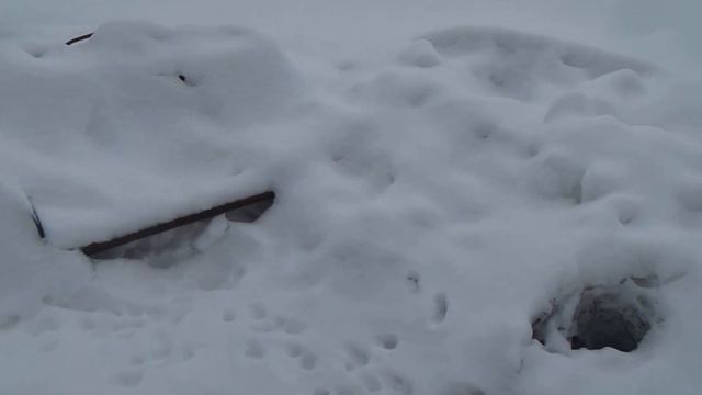 Парк Счастливое детство в Лесной поляне Кемерово зимой. Вики Сара смотреть онлайн