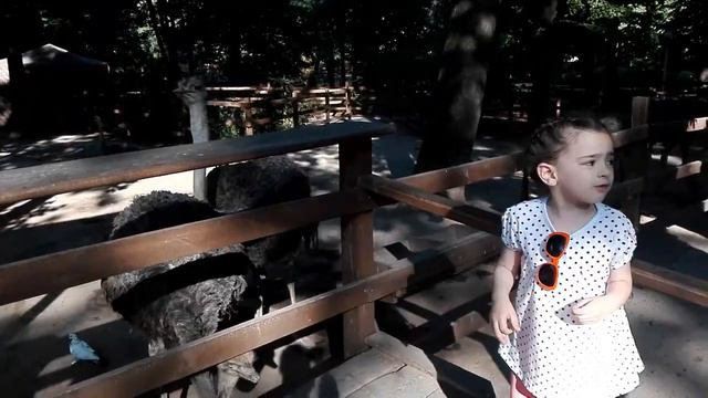 В зоопарке #1 смотреть онлайн